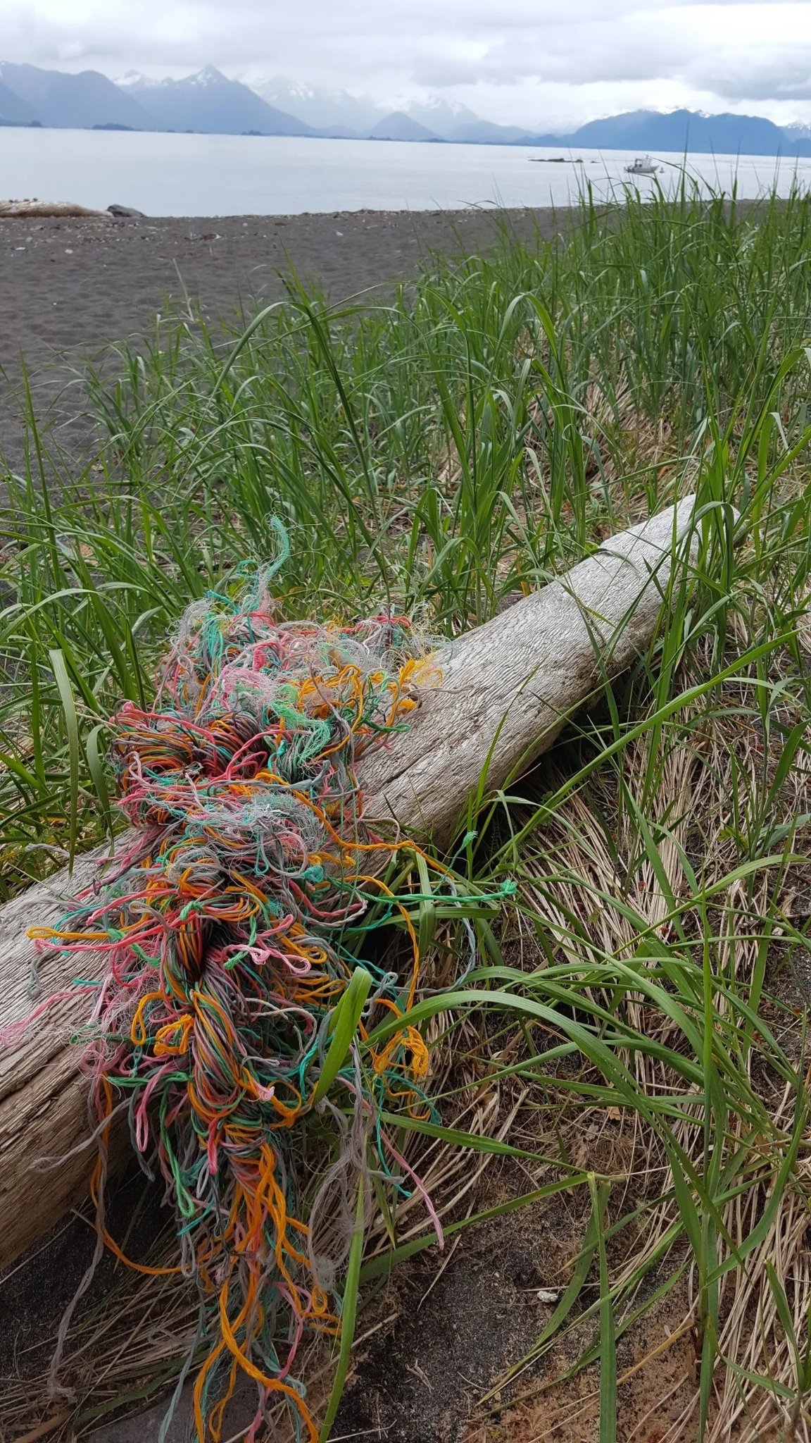 Colorful fishing rope on driftwood with the Tongass Troll visible offshore