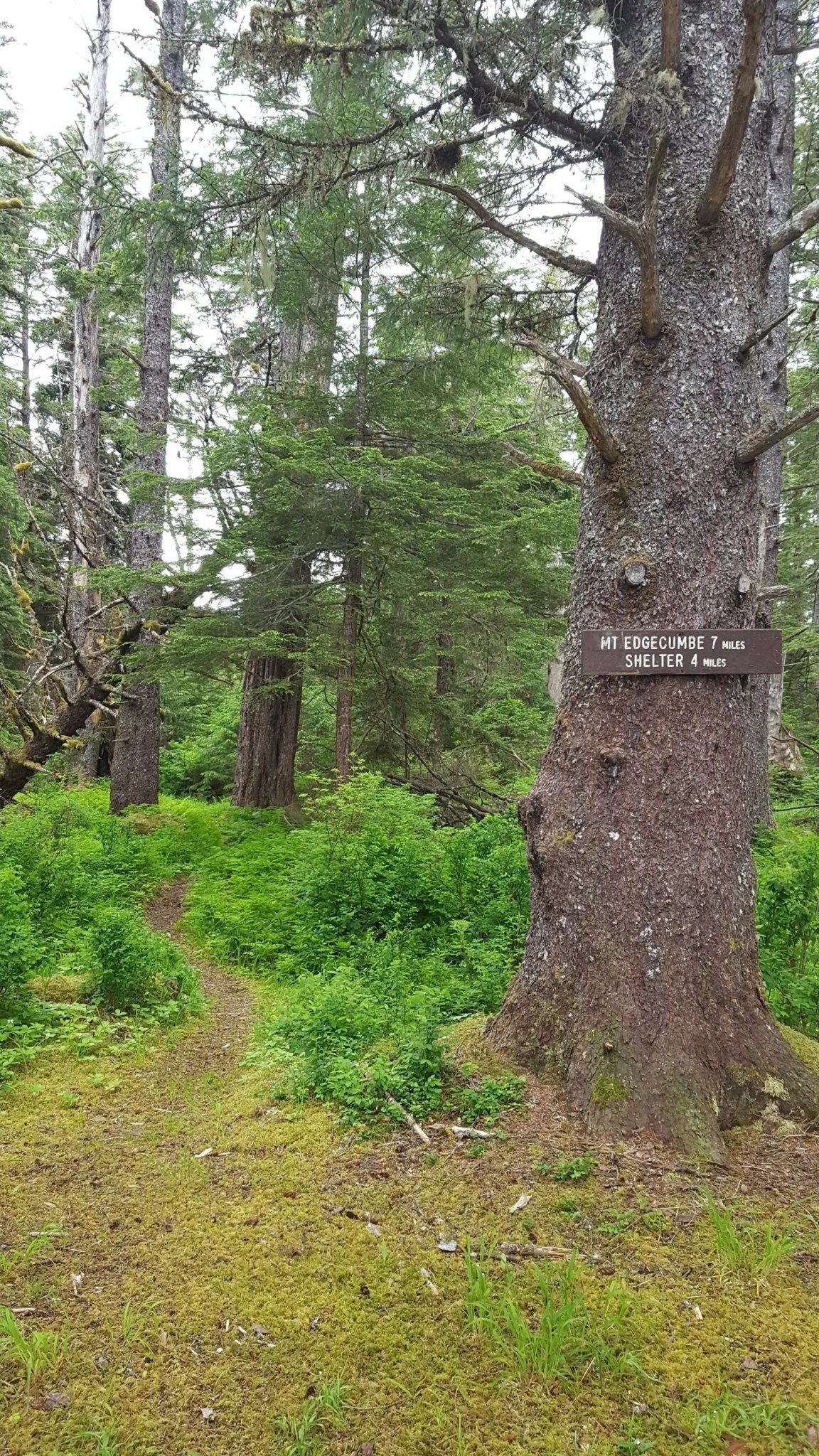 Mt. Edgecumbe trail sign — 7 miles to summit in the Tongass National Forest
