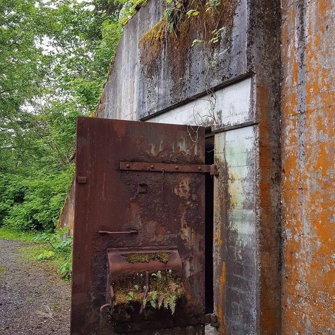 Rusted WW2 bunker door ajar, covered in lichen and ferns in the Tongass rainforest